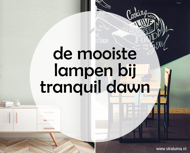 Flexa kleur van het jaar 2020 | De mooiste lampen bij Tranquil Dawn